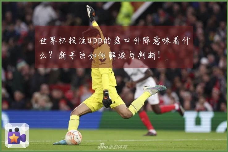 世界杯投注app的盘口升降意味着什么？新手该如何解读与判断！