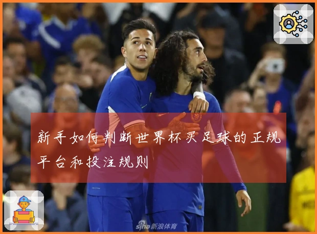 新手如何判断世界杯买足球的正规平台和投注规则