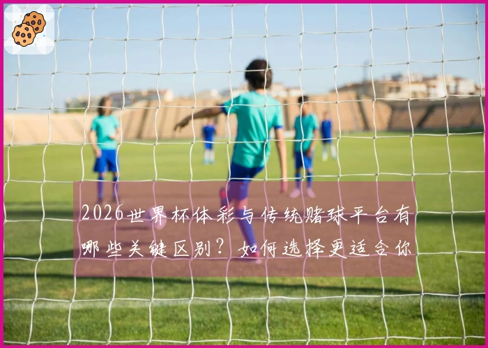2026世界杯体彩与传统赌球平台有哪些关键区别？如何选择更适合你的投注方式？