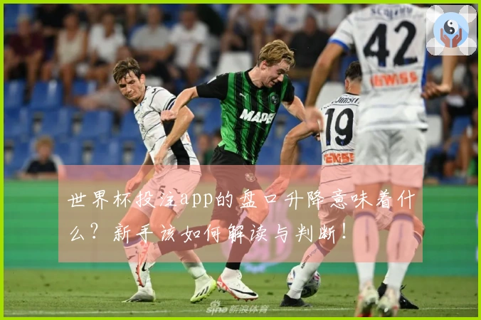 世界杯投注app的盘口升降意味着什么？新手该如何解读与判断！