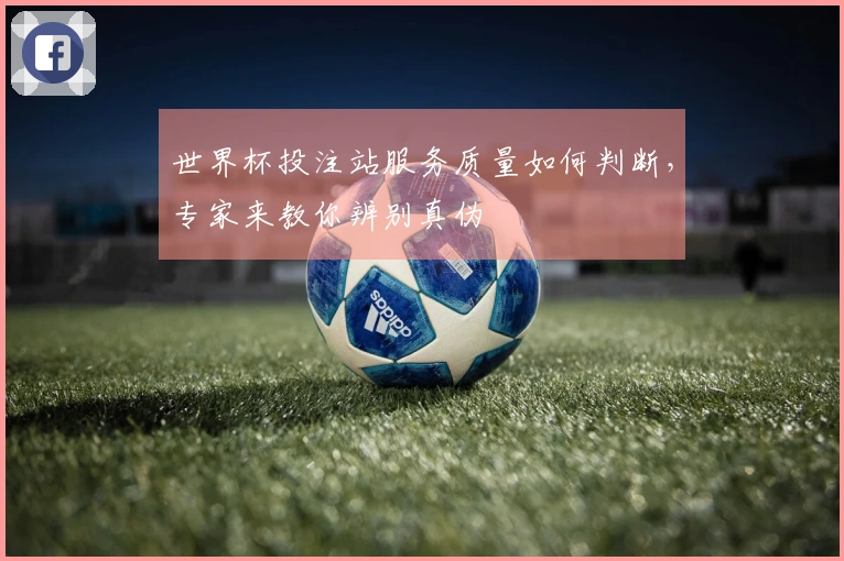 世界杯投注站服务质量如何判断，专家来教你辨别真伪