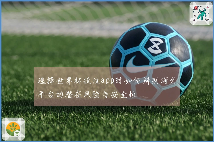 选择世界杯投注app时如何辨别海外平台的潜在风险与安全性