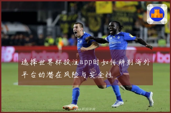 选择世界杯投注app时如何辨别海外平台的潜在风险与安全性