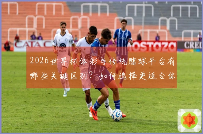 2026世界杯体彩与传统赌球平台有哪些关键区别？如何选择更适合你的投注方式？